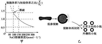 生物膜形成过程解析：生物膜的形成过程 其他宠物 第3张