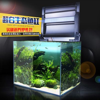 龙鱼想吃又不吃：水族箱中常见的观赏鱼类，龙鱼的行为习性复杂多变，想吃又不吃 水族问答 第2张