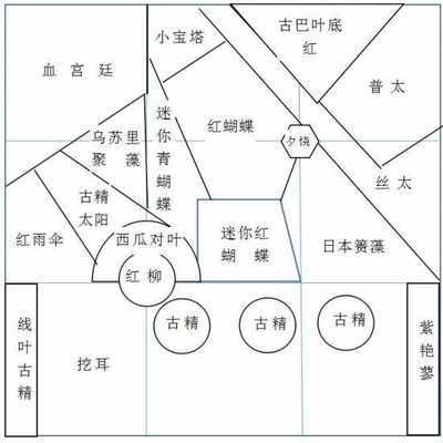 繁殖缸内水草布局设计技巧：繁殖缸内水草的布局设计技巧及日常维护方法 其他宠物 第2张