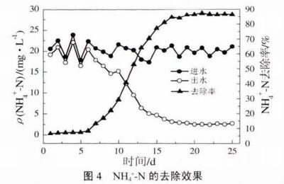 稳定水流对生物附着的影响：水流对生物附着的影响 其他宠物 第5张