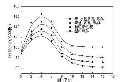 稳定水流对生物附着的影响：水流对生物附着的影响 其他宠物 第4张