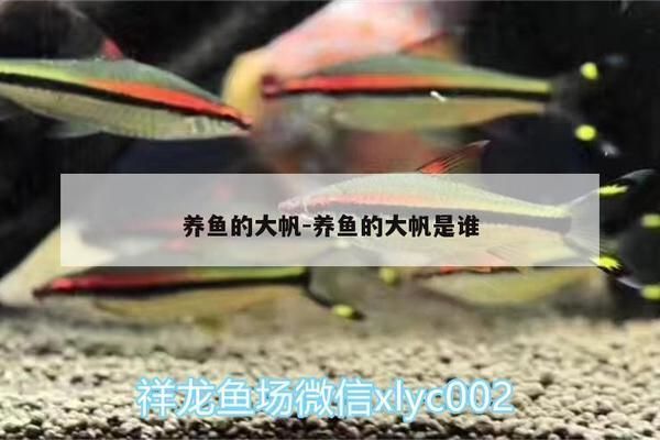 印尼三纹虎市场供需趋势预测：印尼三纹虎与泰国虎鱼区别，印尼三纹虎市场需求增长因素 其他宠物 第3张