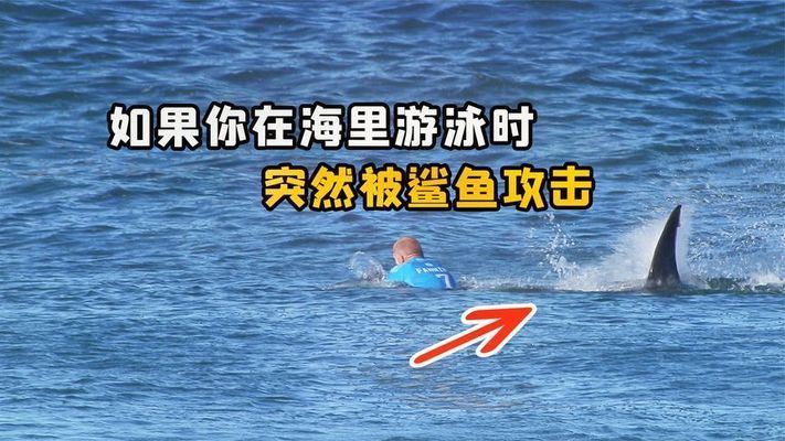 鲨鱼攻击后的紧急处理：《绝地求生》鲨鱼攻击后的自救技巧 其他宠物 第2张