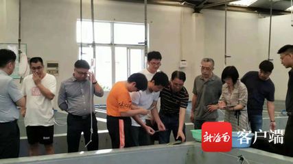 银鼓鱼苗生长周期详细解析：银鼓鱼苗生长周期的详细解析 其他宠物 第4张