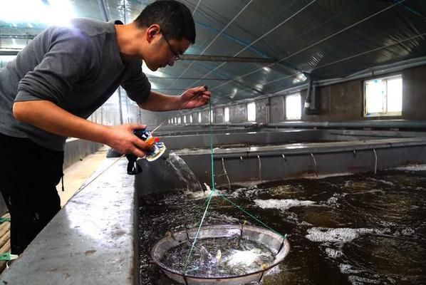 养殖用水循环利用技术：养殖用水循环利用技术是现代水产养殖业中一项重要的环保和可持续发展措施 其他宠物 第4张