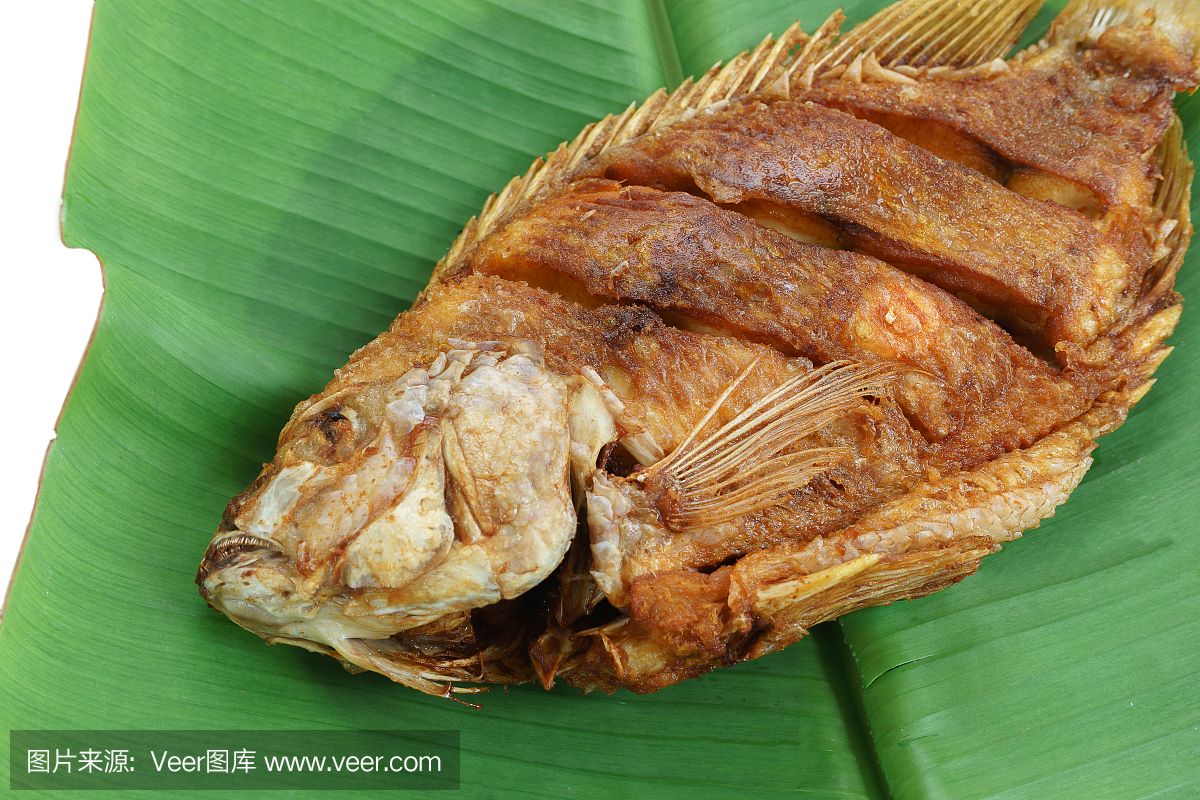 宝石鱼日常饮食搭配建议：宝石鱼日常饮食搭配需要考虑到它们的自然食性和营养需求 其他宠物 第5张