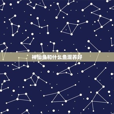 神仙鱼混养伴侣选择标准：神仙鱼混养伴侣的标准 其他宠物 第3张