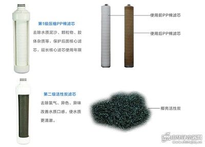 龙鱼需要怎么养：养好龙鱼需要细心照料 水族问答 第2张