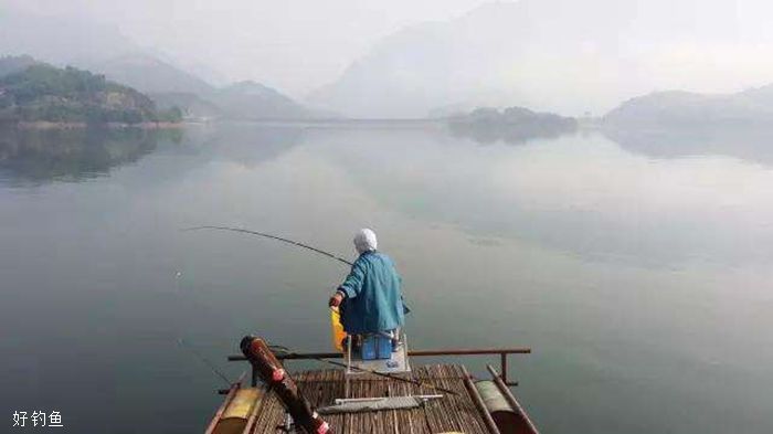 龙鱼宣传文案怎么写：关于龙鱼的一些问题 水族问答 第2张