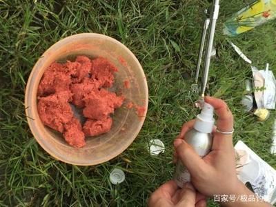 如何判断饵料是否变质：如何判断饵料是否变质，如何快速判断饵料是否变质 其他宠物 第2张