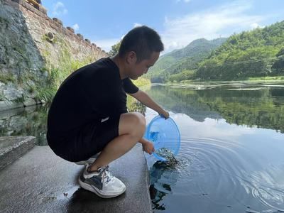 养鱼爱好者如何参与增殖放流？：养鱼爱好者可以通过参与增殖放流活动来支持水生生态系统的恢复和保护 其他宠物 第4张