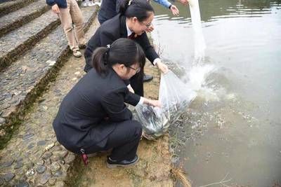 养鱼爱好者如何参与增殖放流？：养鱼爱好者可以通过参与增殖放流活动来支持水生生态系统的恢复和保护 其他宠物 第5张