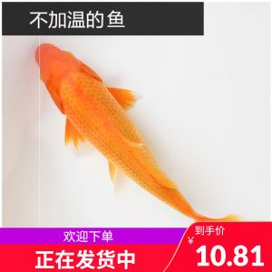 三色锦鲤鱼苗适宜水温范围：三色锦鲤鱼苗日常护理要点，三色锦鲤鱼苗最佳养殖密度 其他宠物 第1张