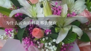 广州芳村市场物流优势探究：广州芳村市场电商转型案例