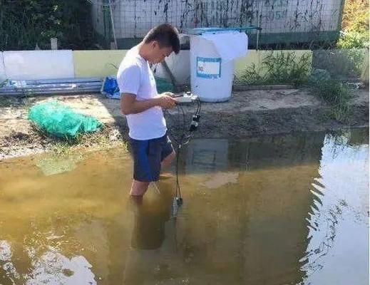 羽毛刀鱼苗用药注意事项：给羽毛刀鱼苗用药时需要注意药物的选择、使用方法、剂量控制 其他宠物 第4张