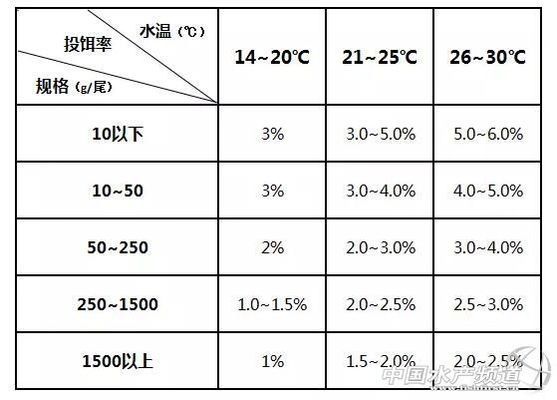 双线侧鱼日常投喂量的科学计算：双线侧鱼饲料选择指南 其他宠物 第3张