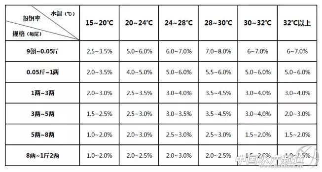 双线侧鱼日常投喂量的科学计算：双线侧鱼饲料选择指南 其他宠物 第4张