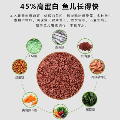 增色饲料添加剂的营养价值：增色饲料添加剂对动物生长发育和健康状况的核心问题 其他宠物 第2张