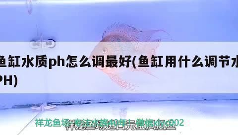 蓝帆三间鱼混养水质调控技巧：蓝帆三间鱼混养空间要求 其他宠物 第3张