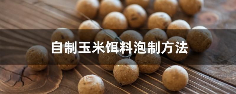 朱巴利鱼苗蛋白质需求量：朱巴利鱼苗蛋白质需求量满足生长需求关键因素分析 其他宠物 第4张