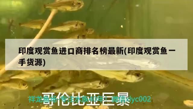 眼斑鲷繁殖期如何控制水质：眼斑鲷的繁殖期水质管理 其他宠物 第5张