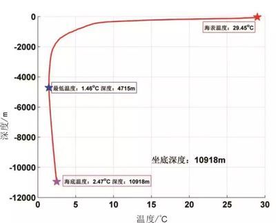 白子球鲨鱼幼体适宜水温范围：白子球鲨鱼幼体适宜水温范围吗 其他宠物 第1张