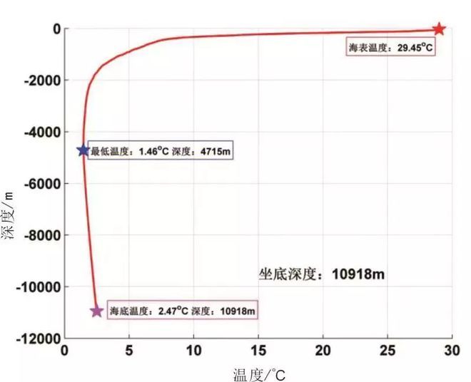 白子球鲨鱼幼体适宜水温范围：白子球鲨鱼幼体适宜水温范围吗 其他宠物 第2张