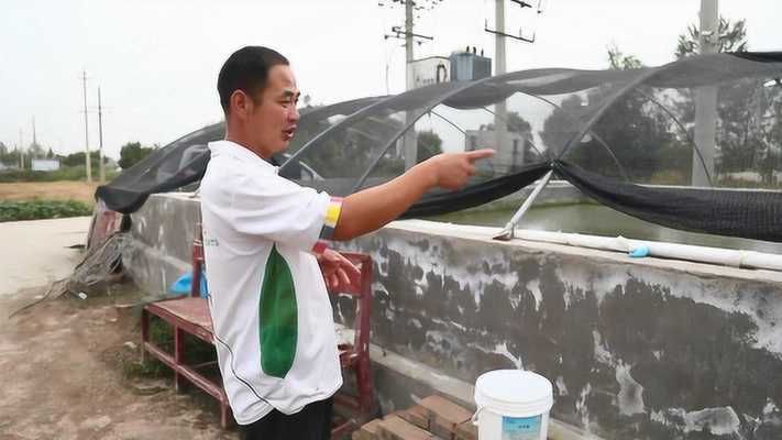 黄鳍鲳鱼饲料喂养频率：关于黄鳍鲳鱼饲料喂养频率并没有完全相关的直接答案 其他宠物 第4张