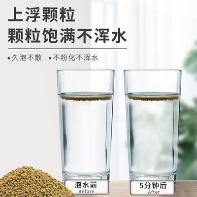 坚持爱好：坚持爱好的重要性 观赏鱼论坛 第3张