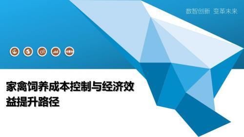 饲料监控系统成本效益分析：关于饲料监控系统的成本效益的分析 其他宠物 第2张