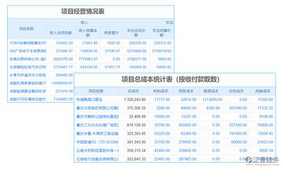 饲料监控系统成本效益分析：关于饲料监控系统的成本效益的分析 其他宠物 第5张