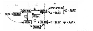 水温对鱼免疫系统影响：水温对鱼免疫系统有什么影响？ 其他宠物 第3张