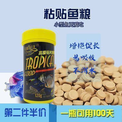 羽毛刀鱼苗喂食量控制技巧：羽毛刀鱼苗喂食量控制技巧学习羽毛刀鱼苗喂食量控制技巧 其他宠物 第3张