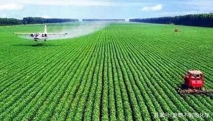 水生植物土壤选择指南：关于水生植物土壤选择的几个关键点 其他宠物 第3张