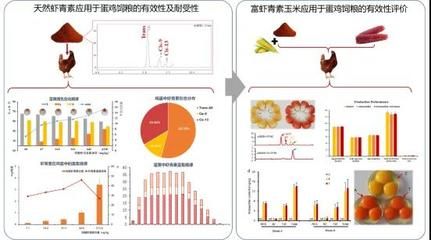 如何检测饲料中雨生红球藻含量：雨生红球藻糖分检测方法 其他宠物 第3张