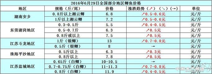 银鱼市场价格走势分析：影响价格走势的因素分析,银鱼养殖技术最新进展 其他宠物 第2张