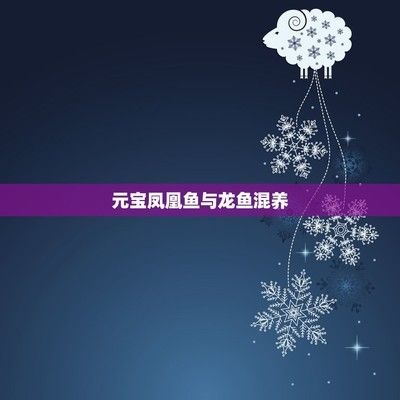 元宝凤凰鱼混养饲料选择：元宝凤凰鱼混养注意事项元宝凤凰鱼混养注意事项 其他宠物 第4张