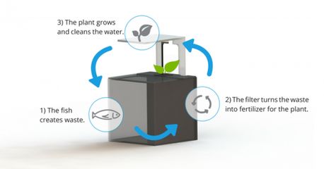 生物滤材的选购技巧：生物滤材选购技巧 其他宠物 第2张