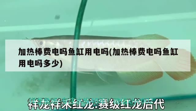 红头利鱼保温材料效果对比：——红头利鱼保温材料对比 其他宠物 第3张