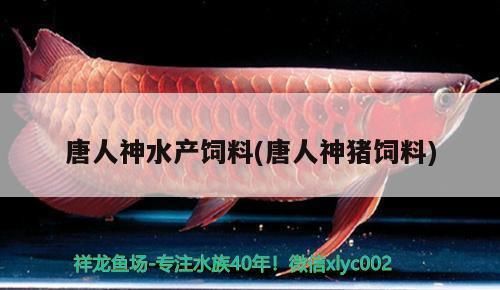 元宝凤凰鱼繁殖饲料添加剂选择：元宝凤凰鱼繁殖期饲料添加剂效果如何自制元宝凤凰鱼饲料品牌推荐 其他宠物 第4张