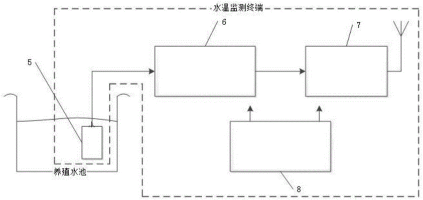 如何监测水族箱水温：水族箱水温监测对于确保鱼类和水生生态系统的健康至关重要 其他宠物 第5张