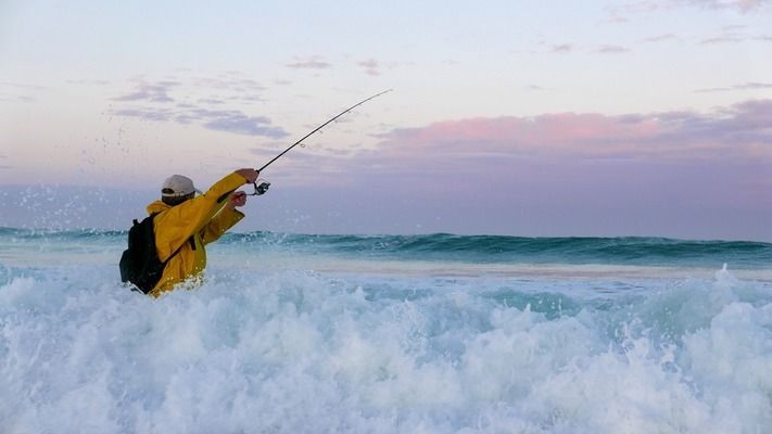 泰庞海鲢鱼苗最佳饲养温度：泰庞海鲢鱼苗最佳养殖温度 观赏鱼论坛 第5张