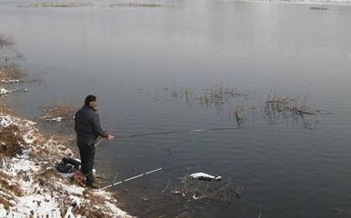 雪鲫鱼池塘选址注意事项：雪鲫鱼池塘的选址应遵循以下注意事项：选择水源丰富、水质清澈且流动缓慢的区域 其他宠物 第2张