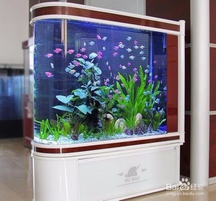 如何保持水族箱水质清洁：保持水族箱水质的清洁 其他宠物 第4张