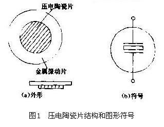 压电陶瓷防鲨服的设计原理：压电陶瓷防鲨服 其他宠物 第3张