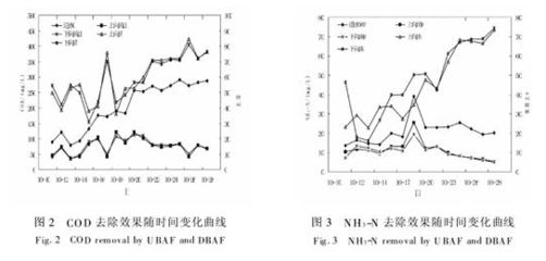 硝化细菌培养对水质的影响：硝化细菌培养对水质有着显著的正面影响但需要注意以下几点 其他宠物 第5张