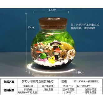 水族箱造景材料安全性检测：上海复达检测技术集团有限公司水族箱造景材料的安全性检测方法 其他宠物 第5张