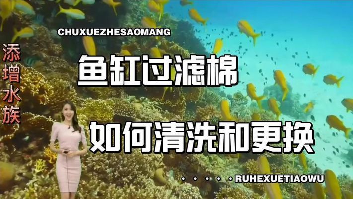 水族箱过滤棉的更换周期：水族箱过滤棉材质选择指南,如何判断过滤棉密度是否合适 其他宠物 第5张