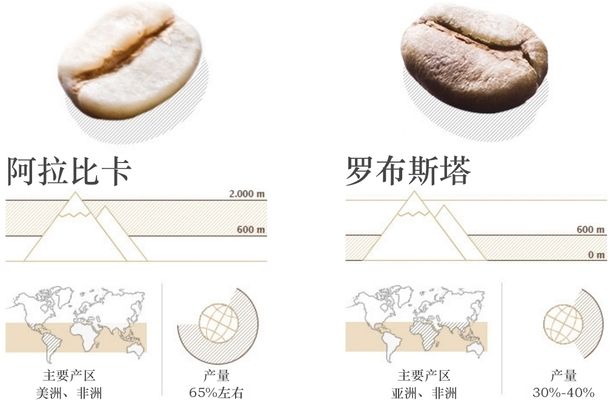 马来西亚咖啡豆出口量排名：马来西亚咖啡豆出口量影响因素分析马来西亚咖啡豆出口量影响因素分析 其他宠物 第3张