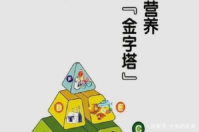 伊巴卡鱼营养均衡饲料选择：伊巴卡鱼饲料品牌推荐 其他宠物 第3张